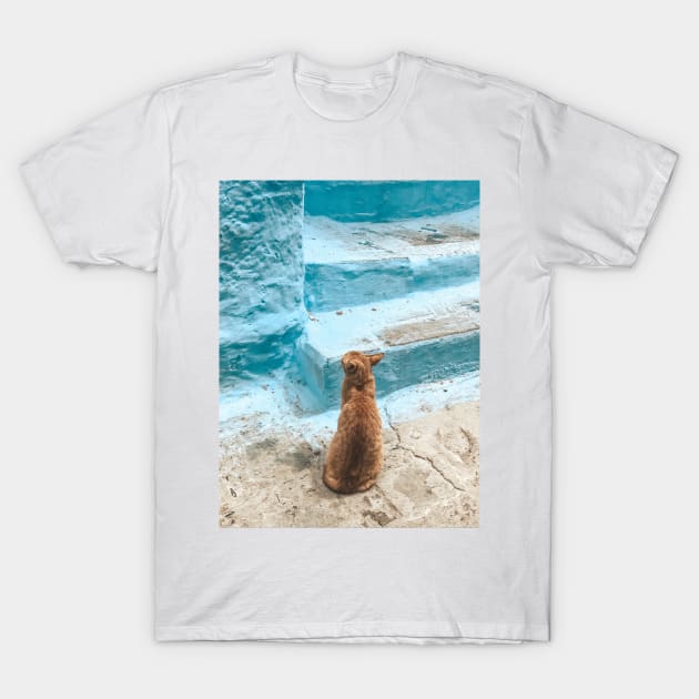 Orange Cat T-Shirt by iadesigns